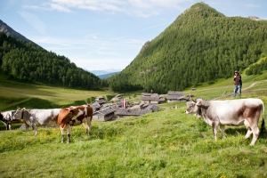 sommerurlaub-südtirol-04